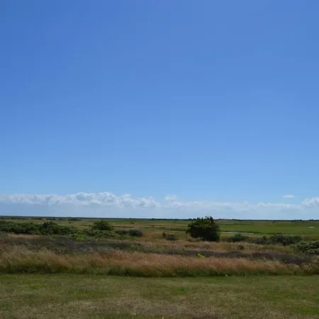 Anelia - 2-3km From The Sea In Western Jutland By Interhome Apartment Sonderby (Romo)